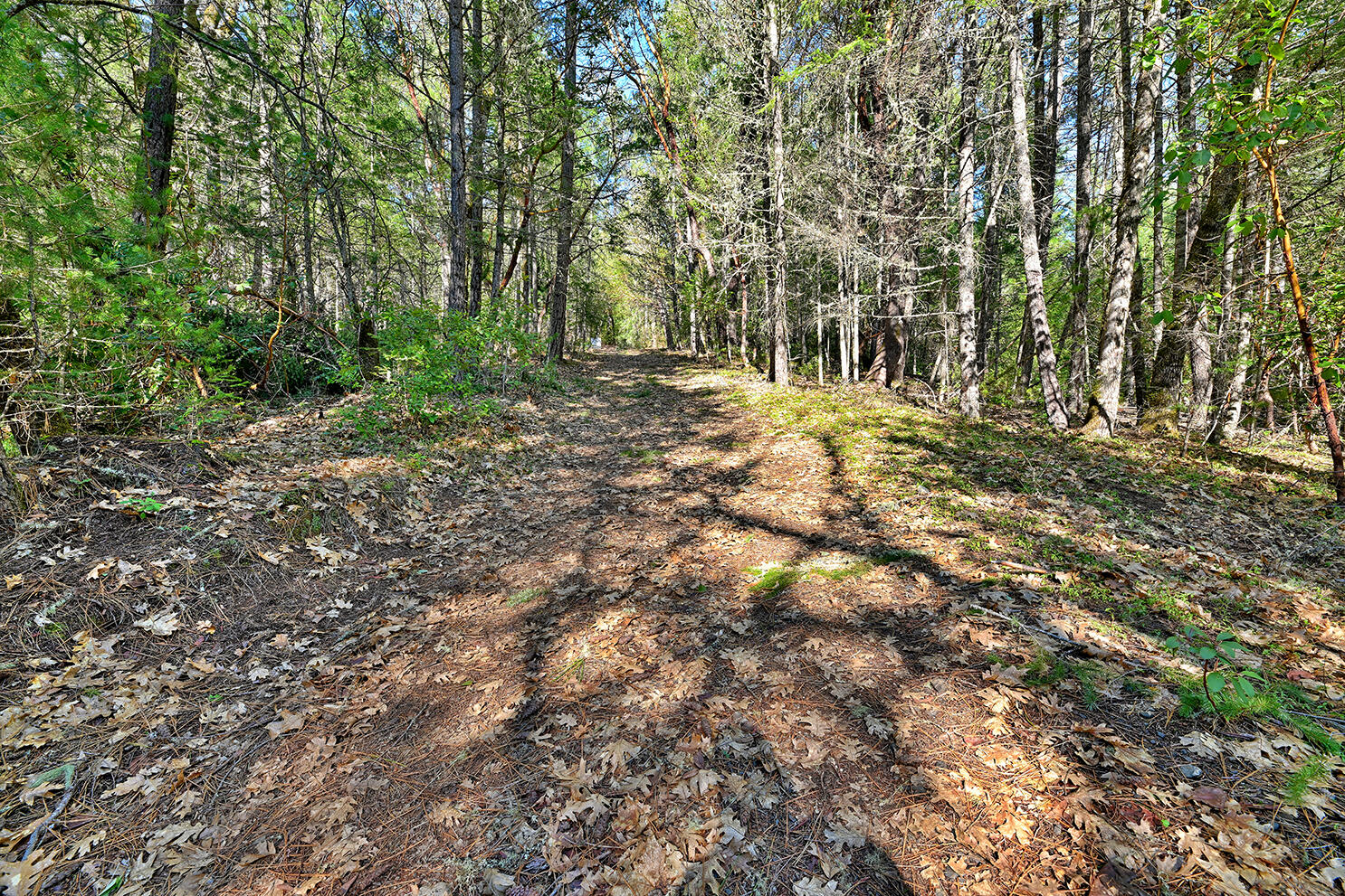 Land in Wilderville 5