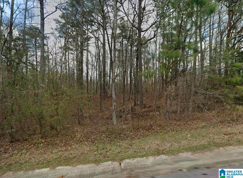 46-389 Shelby Springs Farms, CALERA, AL, 35040 | Card Image