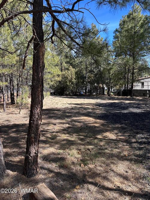 701 S 30th Ave, Show Low, AZ, 85901 | Card Image