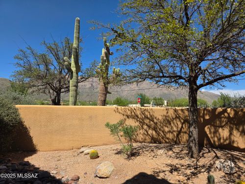 apt-181-6651 N Campbell Avenue, Tucson, AZ, 85718 | Card Image