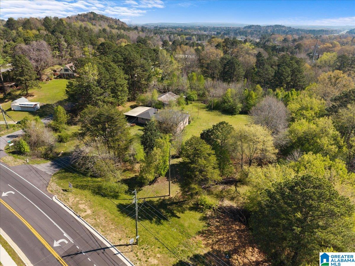 Commercial Sale in BESSEMER 3