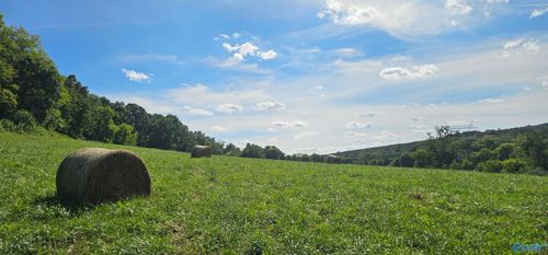 14334 County Road 91, Bryant, AL, 35958 | Card Image