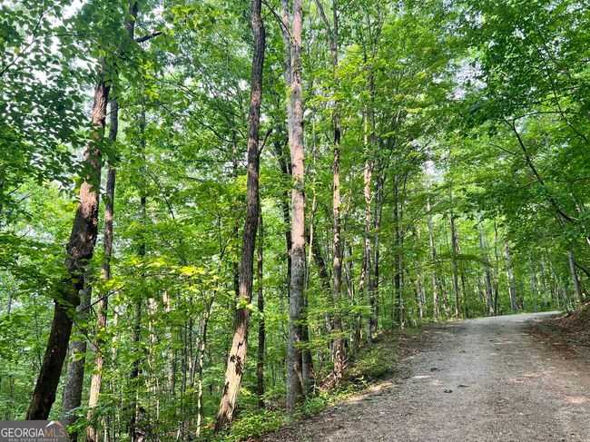 (0) Sheep Cliff Way, Home with 0 bedrooms, 0 bathrooms and null parking in Dillard GA | Image 6