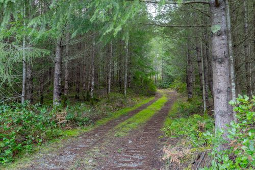 LOT 13 Longview Pl, Nanaimo, BC, V9R | Card Image