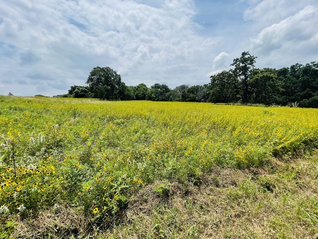 1037 Gonzollas Rd, Home with 0 bedrooms, 0 bathrooms and null parking in Springtown TX | Image 10