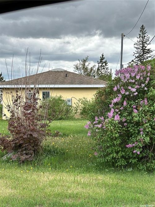 601 Colborne Ave, Viscount, SK, S0K | Card Image