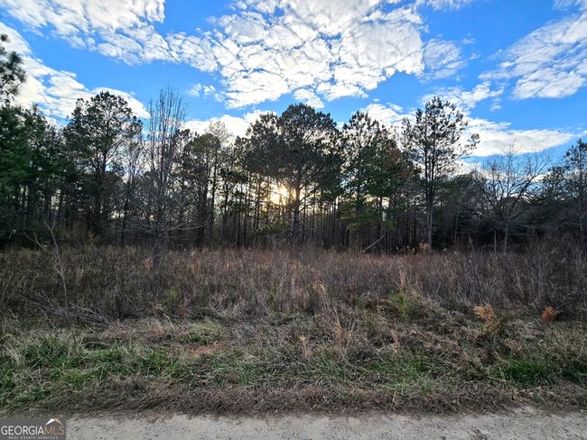 0 Willow St, Home with 0 bedrooms, 0 bathrooms and null parking in Stephens GA | Image 20