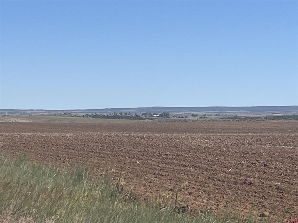 Land in Dove Creek 5