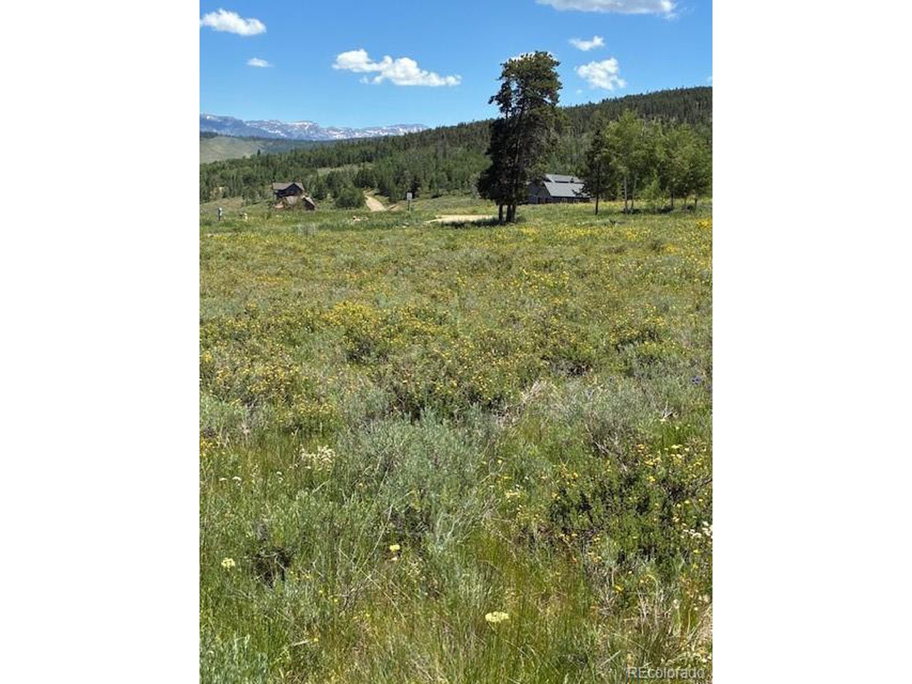 Land in Granby 5