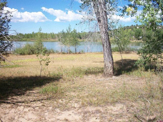 13989 Road 35.6, Home with 0 bedrooms, 0 bathrooms and null parking in Mancos CO | Image 14