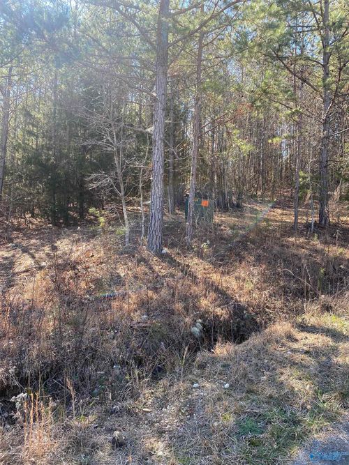 Lot 1 Blk 2 Alyson Ave Nw, Fort Payne, AL, 35968 | Card Image