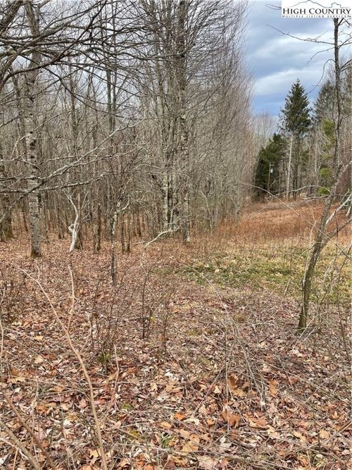 TBD Old Mountain Rd, Banner Elk, NC, 28604 | Card Image