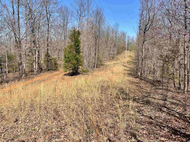 000 Dabney Rd, Home with 0 bedrooms, 0 bathrooms and null parking in Jerusalem AR | Image 6