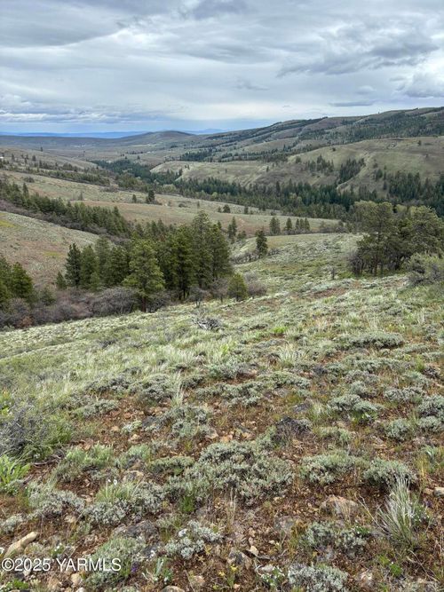 NKA Cowiche Creek Rd, Yakima, WA, 98908 | Card Image