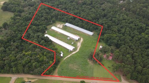 TBD County Road 4114, Pittsburg, TX, 75686 | Card Image