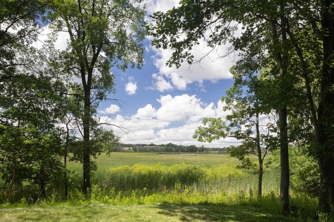 11636 Timberline Rd, House other with 5 bedrooms, 5 bathrooms and null parking in Minnetonka MN | Image 56
