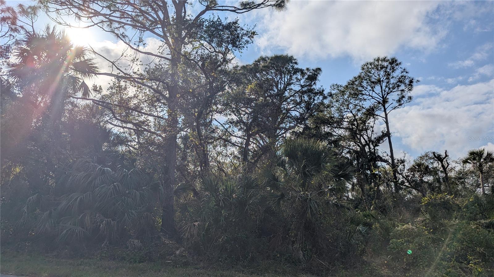 Land in PORT CHARLOTTE
