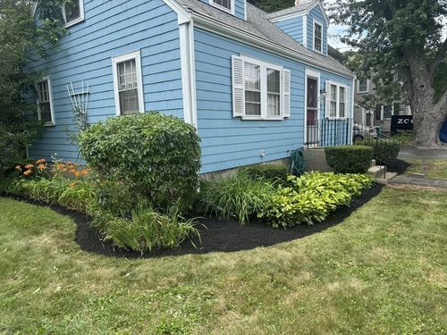 38 Barbara Rd, Newton, MA, 02465 | Card Image