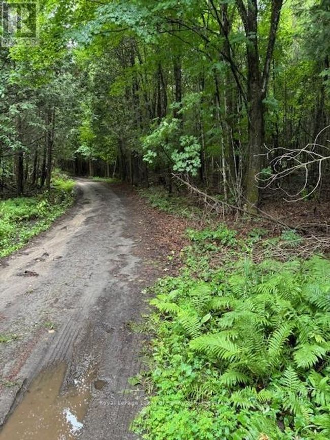 Lot 70 25th Line, Home with 0 bedrooms, 0 bathrooms and null parking in Algonquin Highlands (Stanhope) ON | Image 5