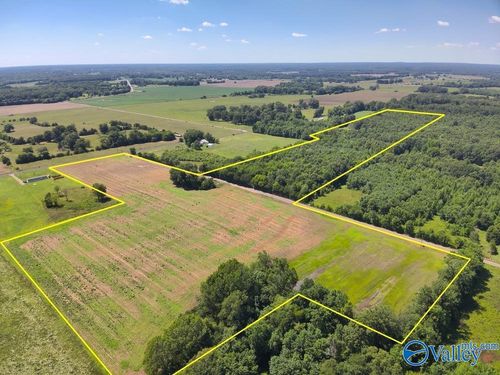 47 Acres Tanner Road, Danville, AL, 35619 | Card Image