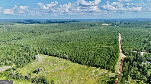 0 Penny Morris Rd, Baxley, GA, 31513 | Card Image