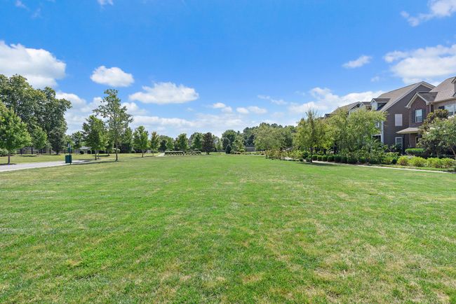 Your community includes open spaces where kids or pets can play! | Image 28