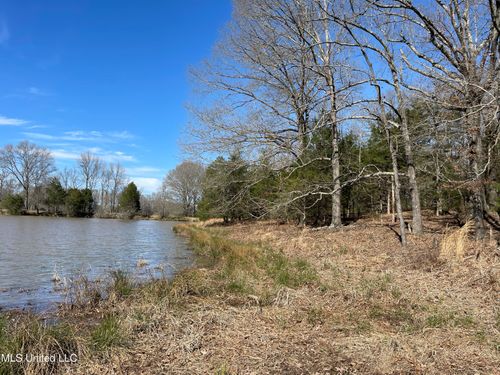 115 Cherrydale Loop, Coldwater, MS, 38618-3071 | Card Image