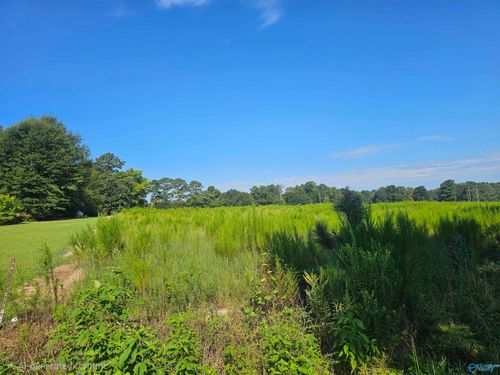 23 Bridge Rd Ne, Arab, AL, 35016 | Card Image