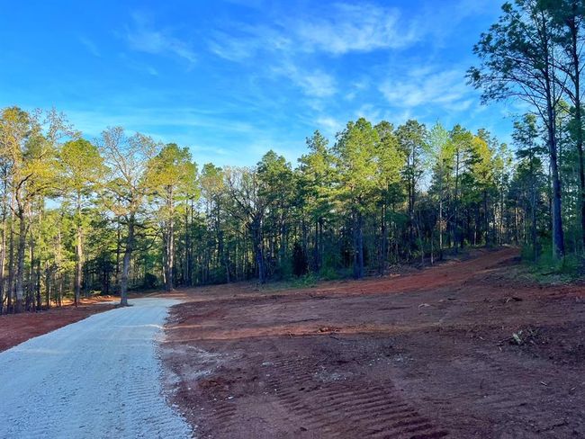 99 Cr 2107, Home with 0 bedrooms, 0 bathrooms and null parking in Rusk TX | Image 28
