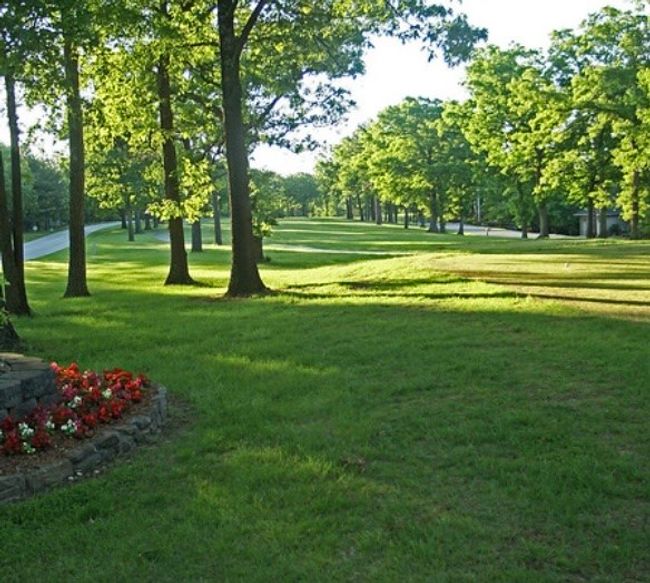 Manicured golf courses | Image 11