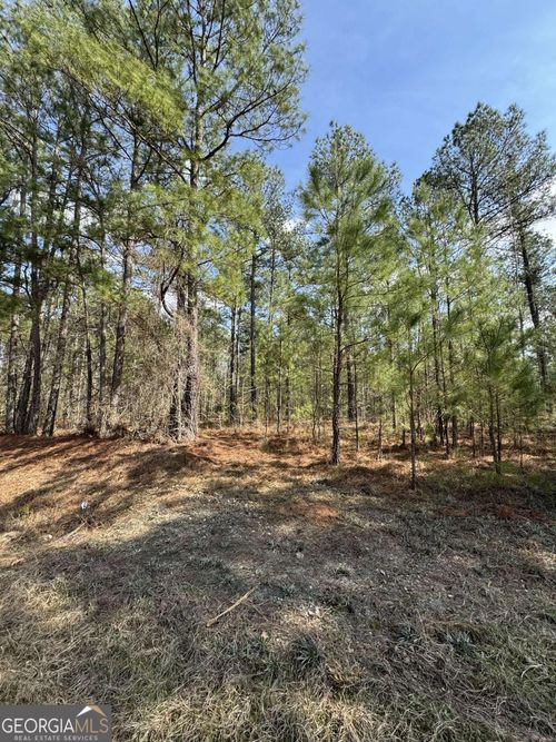 0 Anthony Shoals Rd, Tignall, GA, 30668 | Card Image
