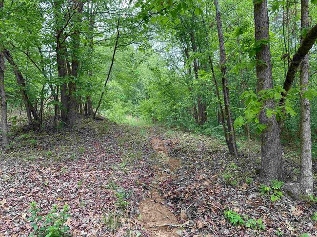 4090 Sunny Slope Rd, Home with 0 bedrooms, 0 bathrooms and null parking in Edgemont AR | Image 8