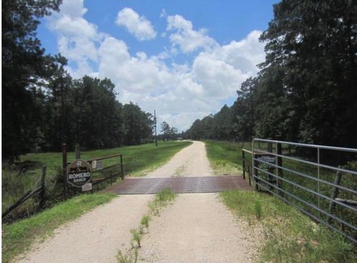 17514 Como Ln, Sour Lake, TX, 77659 | Card Image