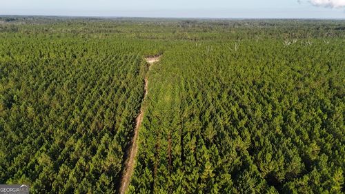 TRACT 19 Penny Morris Rd, Baxley, GA, 31513 | Card Image