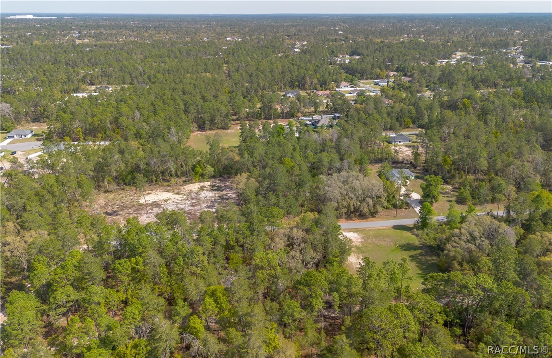 Land in Ocala 5