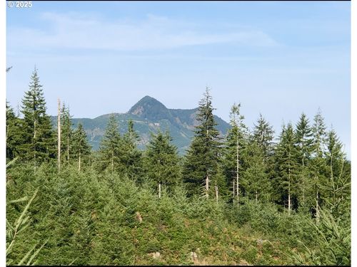 80788 Hamlet Rd, Seaside, OR, 97138 | Card Image