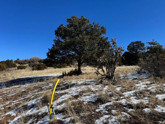 21 Punch Ct, Home with 0 bedrooms, 0 bathrooms and null parking in Tijeras NM | Image 8