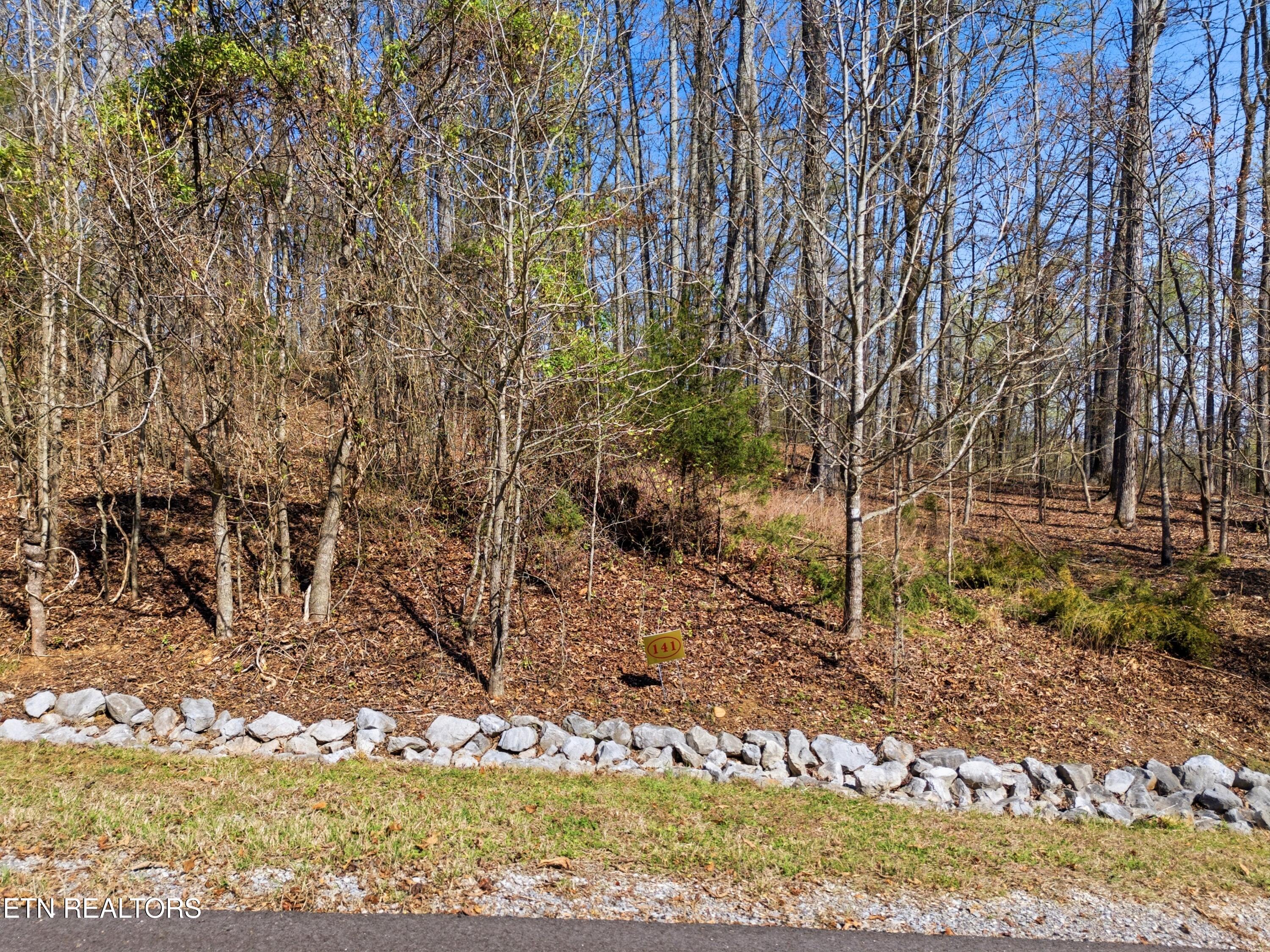 Land in Rockwood 3