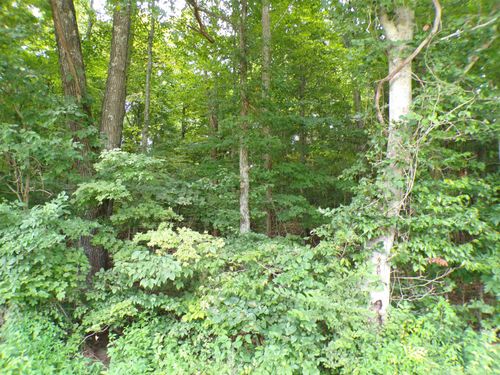 0 S Log Creek Rd, Paoli, IN, 47454 | Card Image
