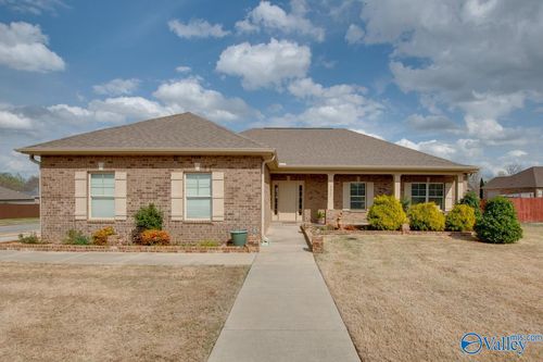 127 Birch Falls Dr, Hazel Green, AL, 35750-8789 | Card Image