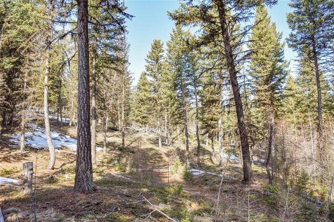 270 Tomahawk Trl, Home with 0 bedrooms, 0 bathrooms and null parking in Fortine MT | Image 7