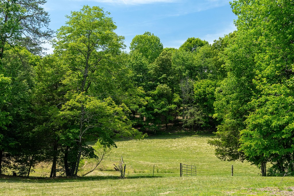 Land in Hilham 5