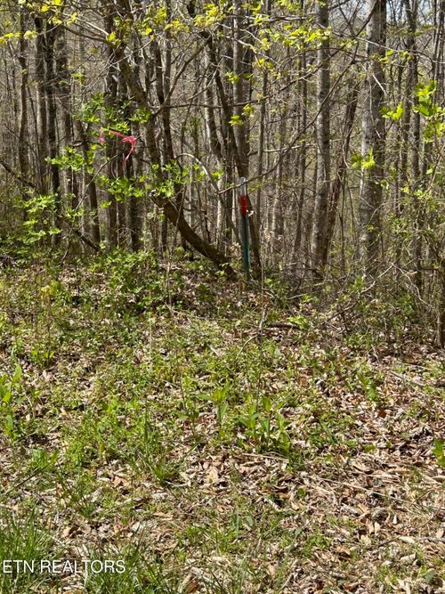 lot 28 Jones Ridge Rd, Speedwell, TN, 37870 | Card Image