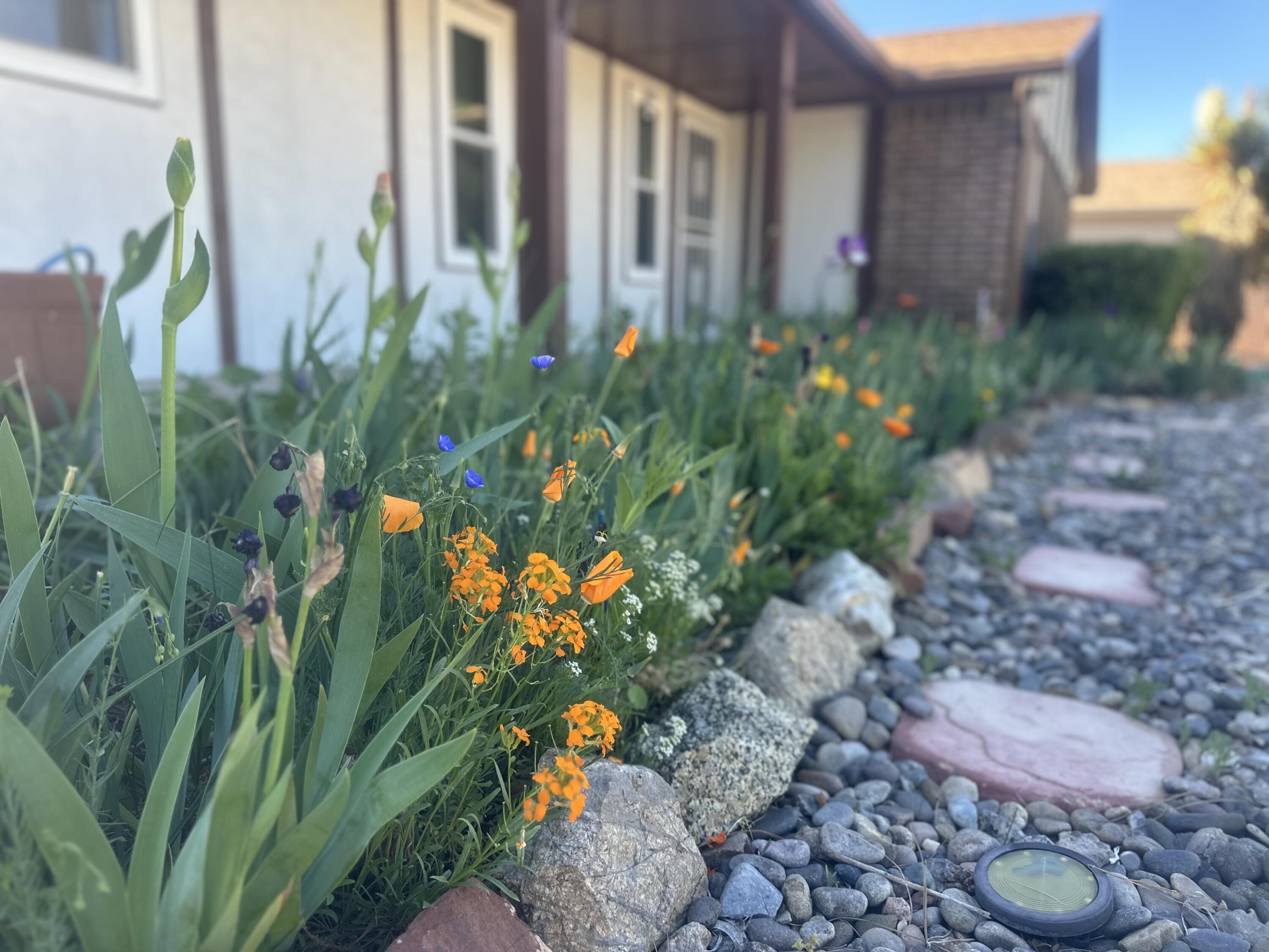 Residential in Albuquerque 5