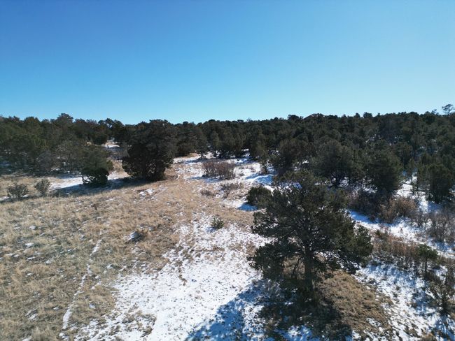21 Punch Ct, Home with 0 bedrooms, 0 bathrooms and null parking in Tijeras NM | Image 13