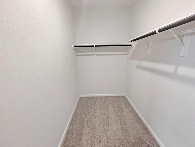 The Cardinal II- Primary Walk-in Closet | Image 13