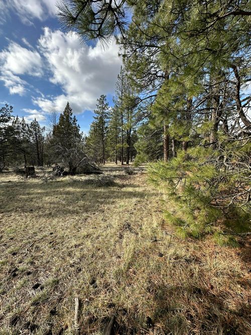 lot-3-0 Widgeon Dr, Bonanza, OR, 97623 | Card Image