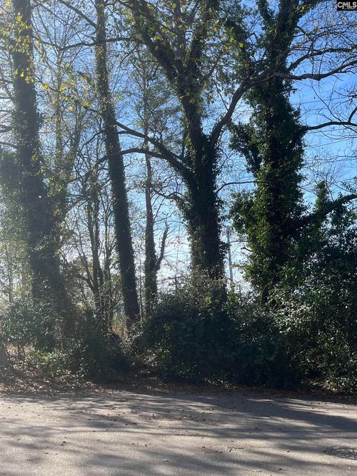 62 Riverview Ct, Columbia, SC, 29201-1210 | Card Image
