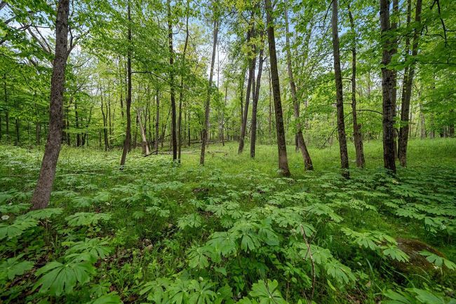 Lt1 County Highway E, Home with 0 bedrooms, 0 bathrooms and null parking in Hartford WI | Image 35