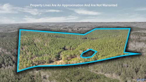 1003 Wesson Rd, Collinsville, AL, 35961 | Card Image